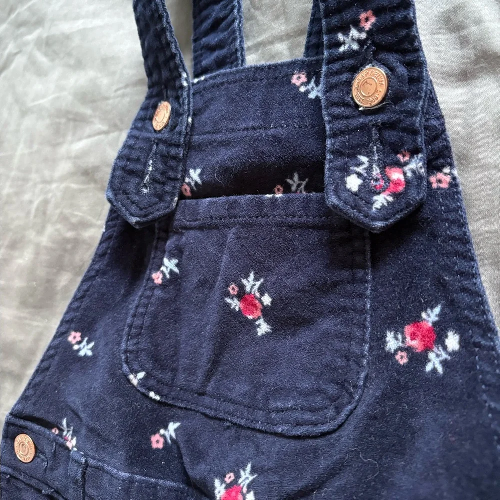 GAP Velvety Denim Overalls with Floral Accents - Picture 2 of 5